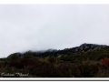 2016-11-06_32