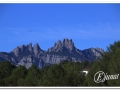 20140405_04-Rellinars.jpg