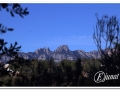 20140405_05-Rellinars.jpg