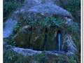 20140405_07-Rellinars.jpg