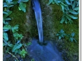 20140405_11-Rellinars.jpg