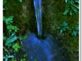 20140405_12-Rellinars.jpg