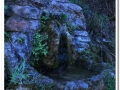 20140405_13-Rellinars.jpg