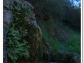 20140405_16-Rellinars.jpg