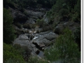 20140405_17-Rellinars.jpg