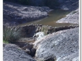 20140405_18-Rellinars.jpg