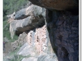 20140405_22-Rellinars.jpg