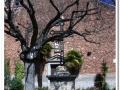 20140405_27-Rellinars.jpg