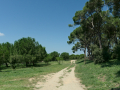 Rubí