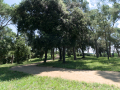 Rubí