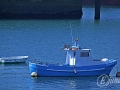 2014-08-10 11h12m09.jpg