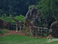 2014-08-08 11h35m43.jpg