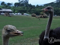2014-08-08 11h45m25.jpg