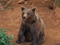 2014-08-08 11h58m24.jpg