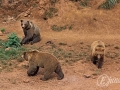 2014-08-08 11h58m48.jpg