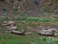 2014-08-08 12h14m50.jpg