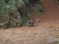 2014-08-08 12h25m04.jpg