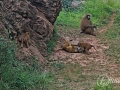 2014-08-08 12h35m42.jpg