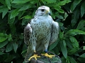 2014-08-08 15h18m28.jpg