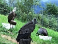 2014-08-08 15h22m35.jpg