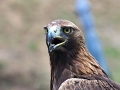 2014-08-08 15h24m25.jpg