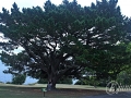 2014-08-09 12h28m15.jpg