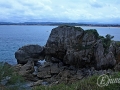 2014-08-09 12h34m26.jpg