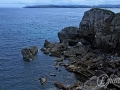 2014-08-09 12h35m02.jpg