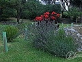 2014-08-09 12h45m57.jpg