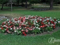 2014-08-09 12h47m12.jpg