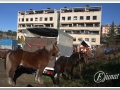 20140126-02_pre rua.jpg