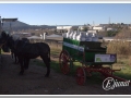 20140126-03_pre rua.jpg