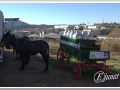 20140126-04_pre rua.jpg