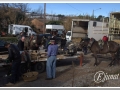 20140126-09_pre rua.jpg