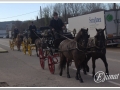 20140126-14_pre rua.jpg