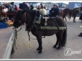 20140126-19_pre rua.jpg