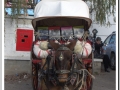 20140126-22_pre rua.jpg