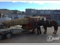 20140126-23_pre rua.jpg