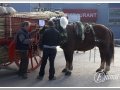 20140126-24_pre rua.jpg