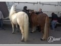 20140126-27_pre rua.jpg