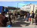 20140126-37_pre rua.jpg