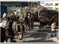 20140126-38_pre rua.jpg
