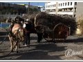 20140126-39_pre rua.jpg