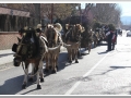 20140126-46_pre rua.jpg