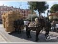 20140126-47_pre rua.jpg