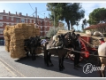 20140126-49_pre rua.jpg