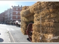 20140126-52_pre rua.jpg
