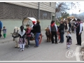 20140126-87_pre rua.jpg