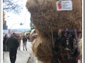 20140126-88_pre rua.jpg