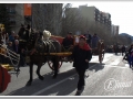 20140126-023_rua.jpg